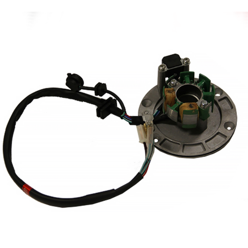 [100205117-0001] Encendido completo Pitbike motor 125-G-02 Zongshen
