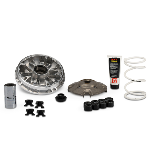 [5118980] Variador Honda SH 350 ie 4T LC euro 5 / Honda Forza 350 ie 4T LC euro 5 2021-> Malossi